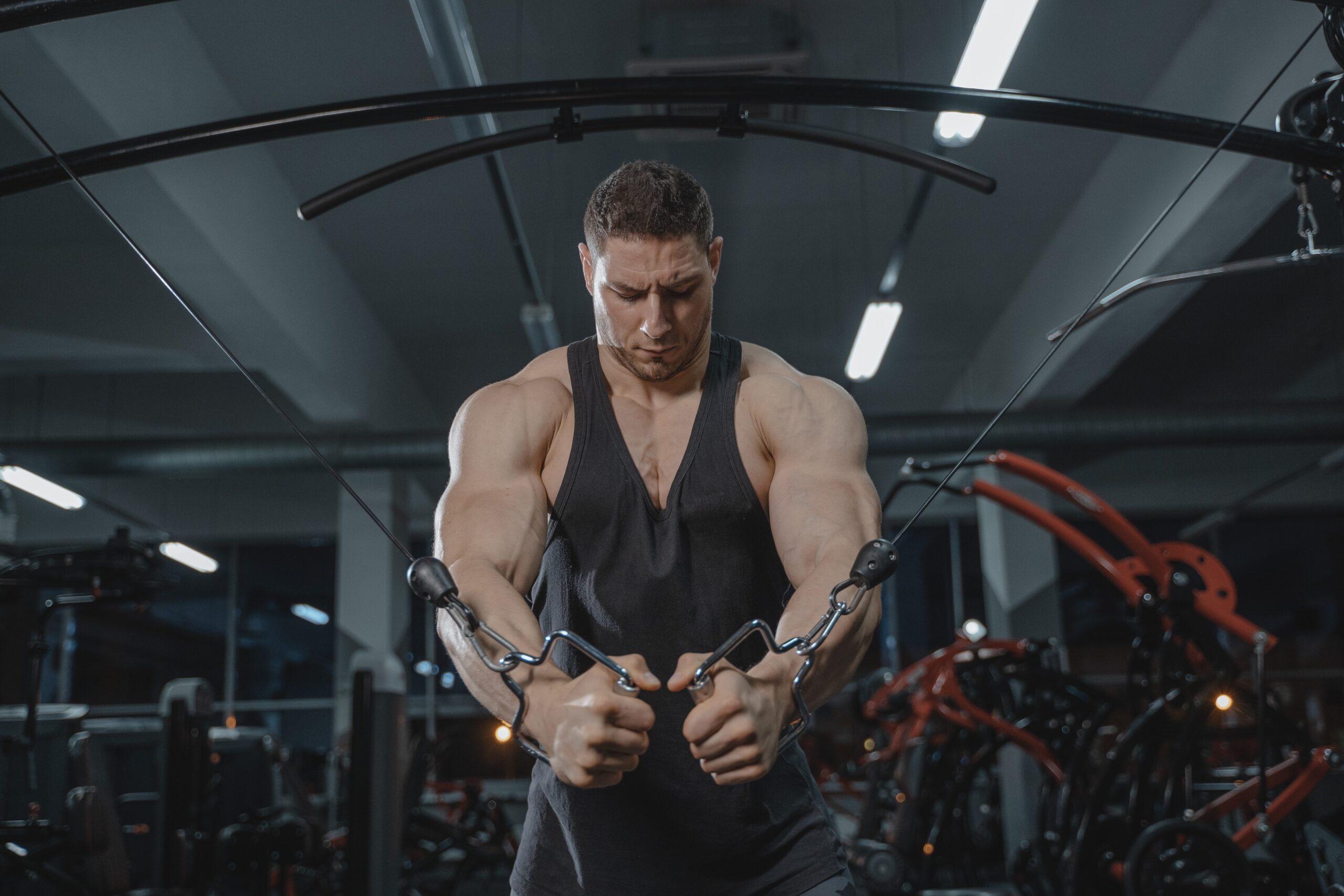 The Best Push Pull Legs Workout Routine